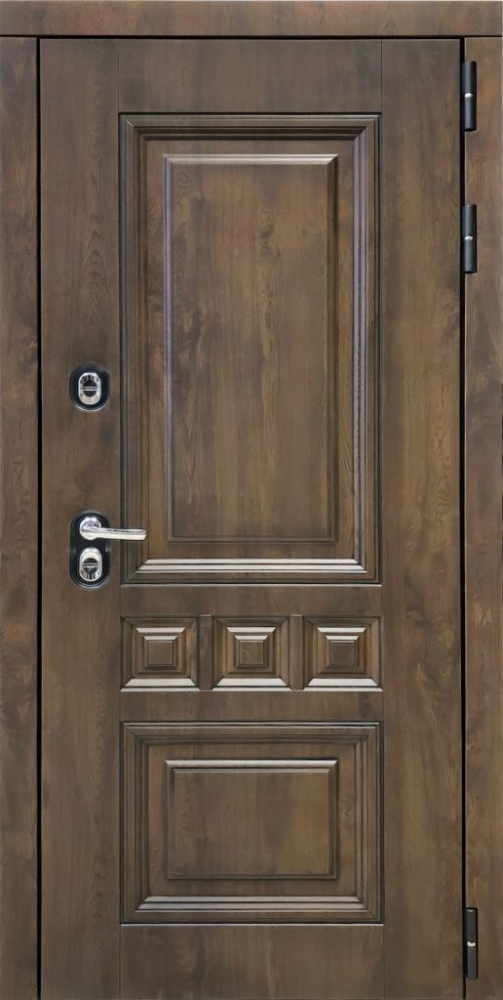 Входная дверь ДвериПРО Аура Фараон-2 (16мм, светлый мореный дуб) DPRO197047 внешняя сторона